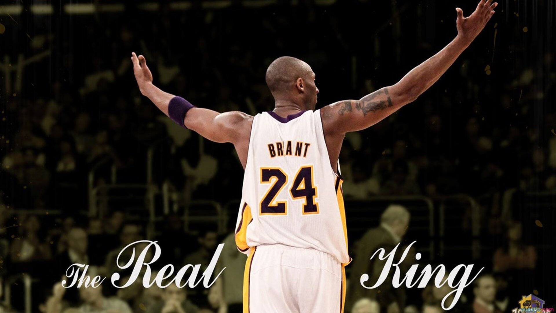 体育精神:逆境中奋起的榜样!,体育精神励志